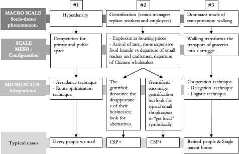 The generalized scale framework created by _unknowns to describe different levels of analyses—macro, meso, and micro.