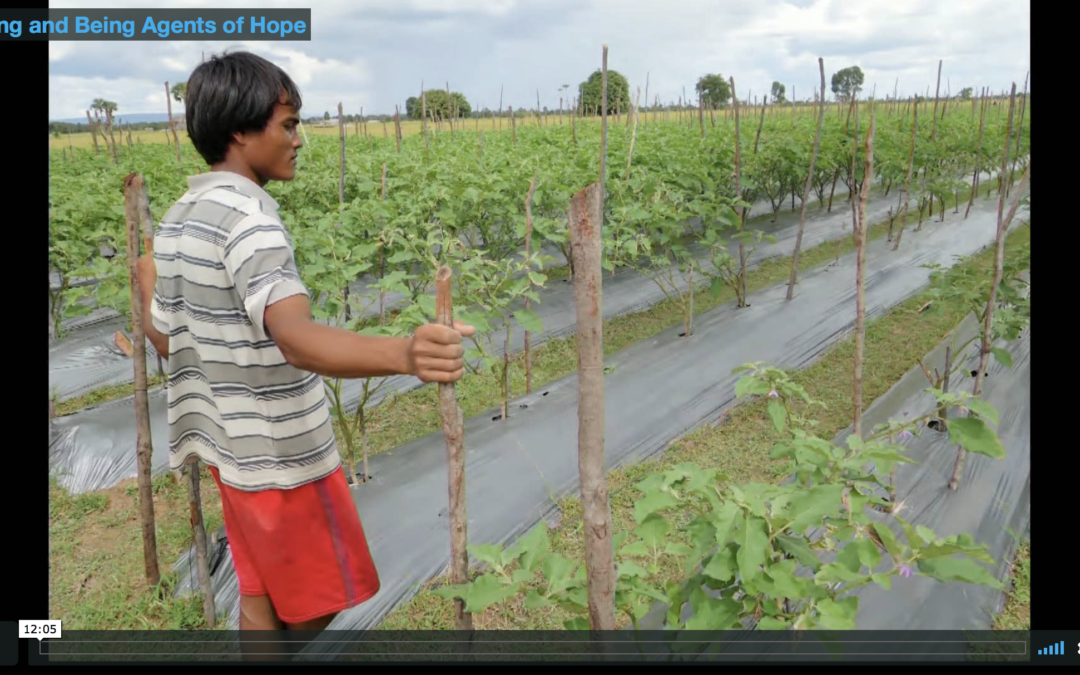 Seeing and Being Agents of Hope: Human-Centered Designers, Transportation Planning and Drip Irrigation Kits