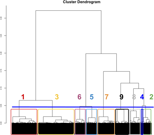 The same cluster dendrogram, now with the bottom portion segmented into 9 groups.