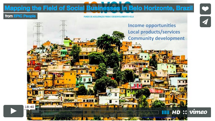 Mapping the Field of Social Businesses in Belo Horizonte, Brazil