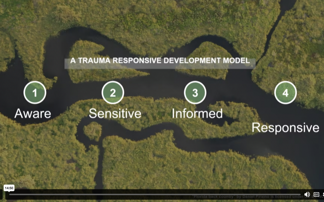 Cultivating Resiliencies for All: The Necessity of Trauma Responsive Research Practices