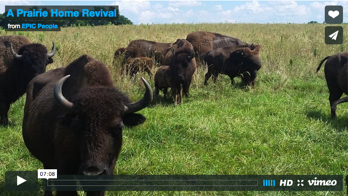 A Prairie Home Revival