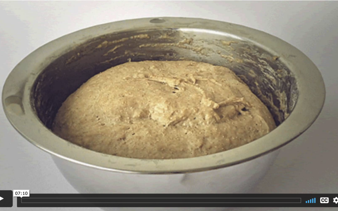 Scaling is Like Making Sourdough: Finding Sourdough Starters to Help Your Research Scale
