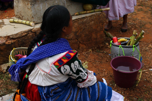 A woman in full Tijaltepec attire, pictured with her back partly turned to the camera, she is sitting down. She wears a blue cloth over her skirt. The blouse shows the sleeve with a colorful top. The image depicts alcatraz flowers in a deep green yarn background.