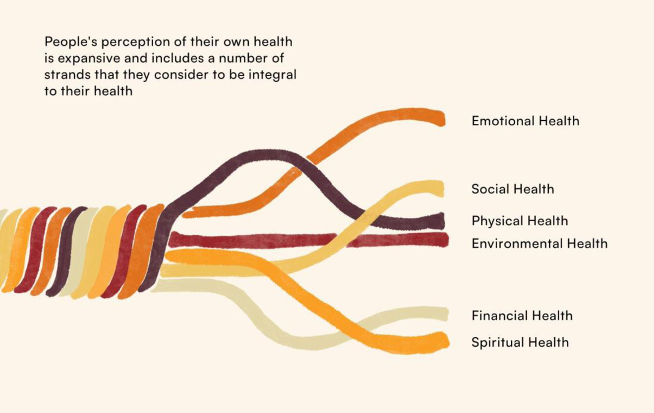 Each of the 6 health strands represented as intertwined rope that unravel as you move to the right to reveal the individual strands. These strands have been described above the image