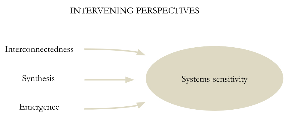 A diagram shows the three systems perspectives of interconnectedness, synthesis, and emergence, each with arrows pointing to an oval shape labeled systems-sensitivity.