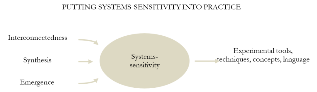 A diagram shows an expansion on the previous diagram. An arrow points from the oval shape labeled systems-sensitivity to the following words: experimental tools, techniques, concepts, and language.